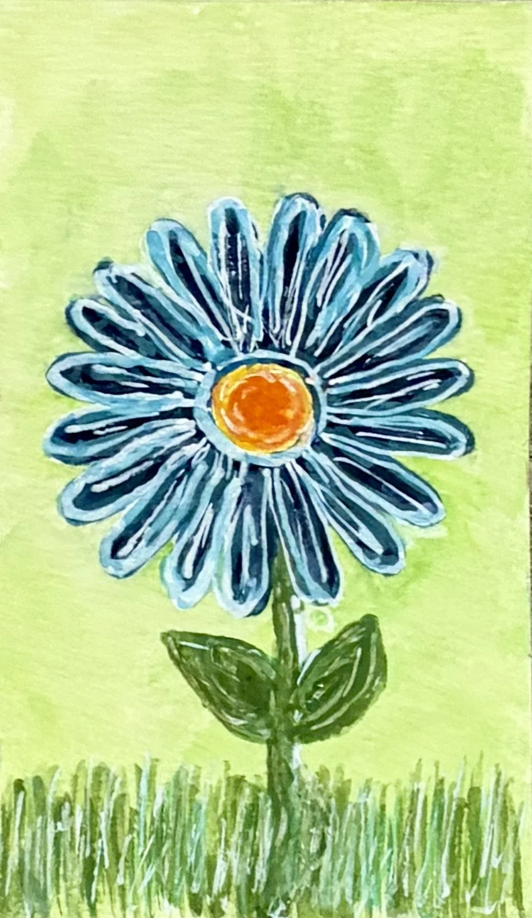 Daisy Love.jpeg