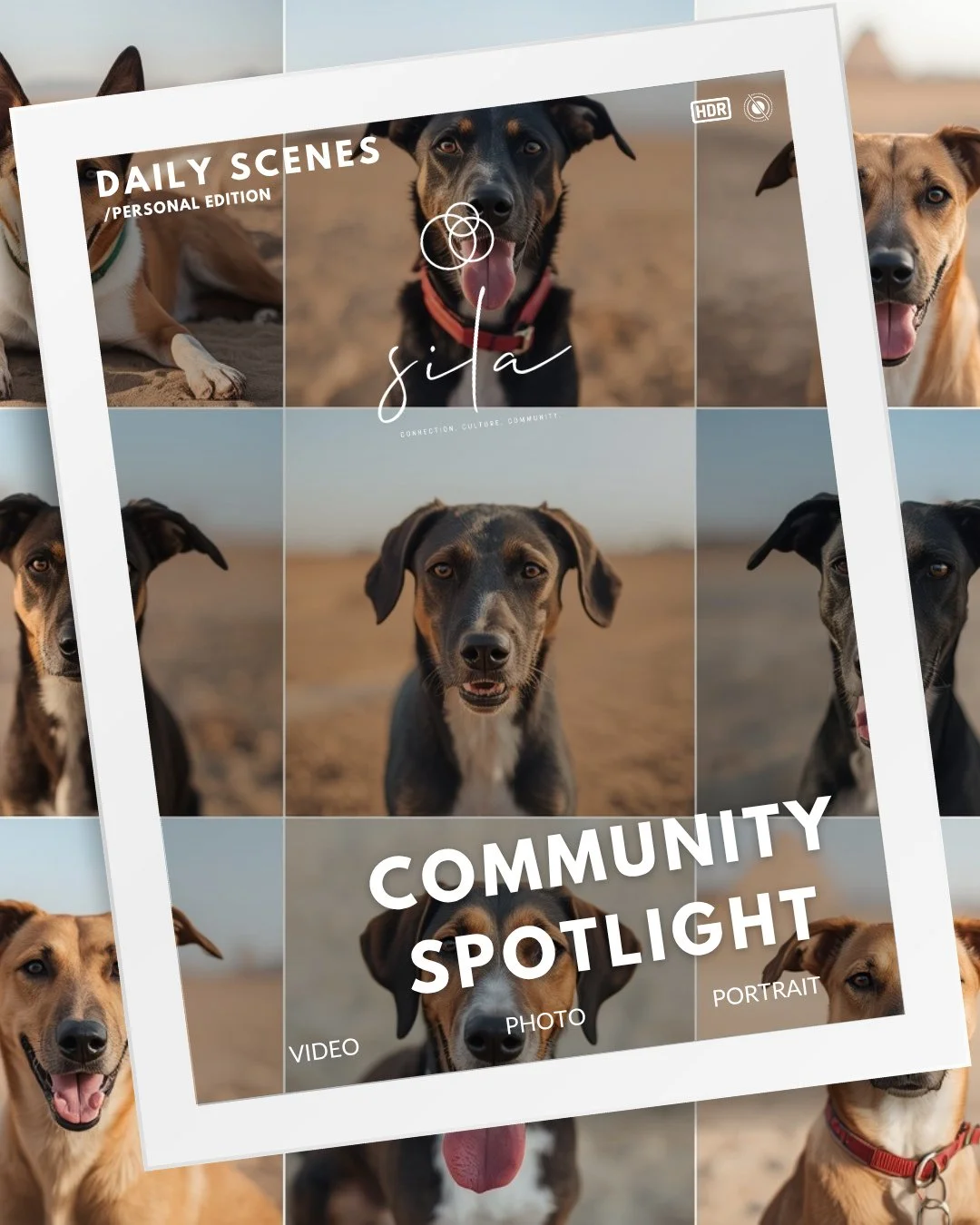 This week's community spotlight is for @k9friendsdubai and it could not be more timely. 🐾 ⁠
⁠
K9 Friends has been rescuing, rehabilitating and rehoming dogs in Dubai for decades. They believe there is a home for every dog.⁠
⁠
Summer is the hardest s