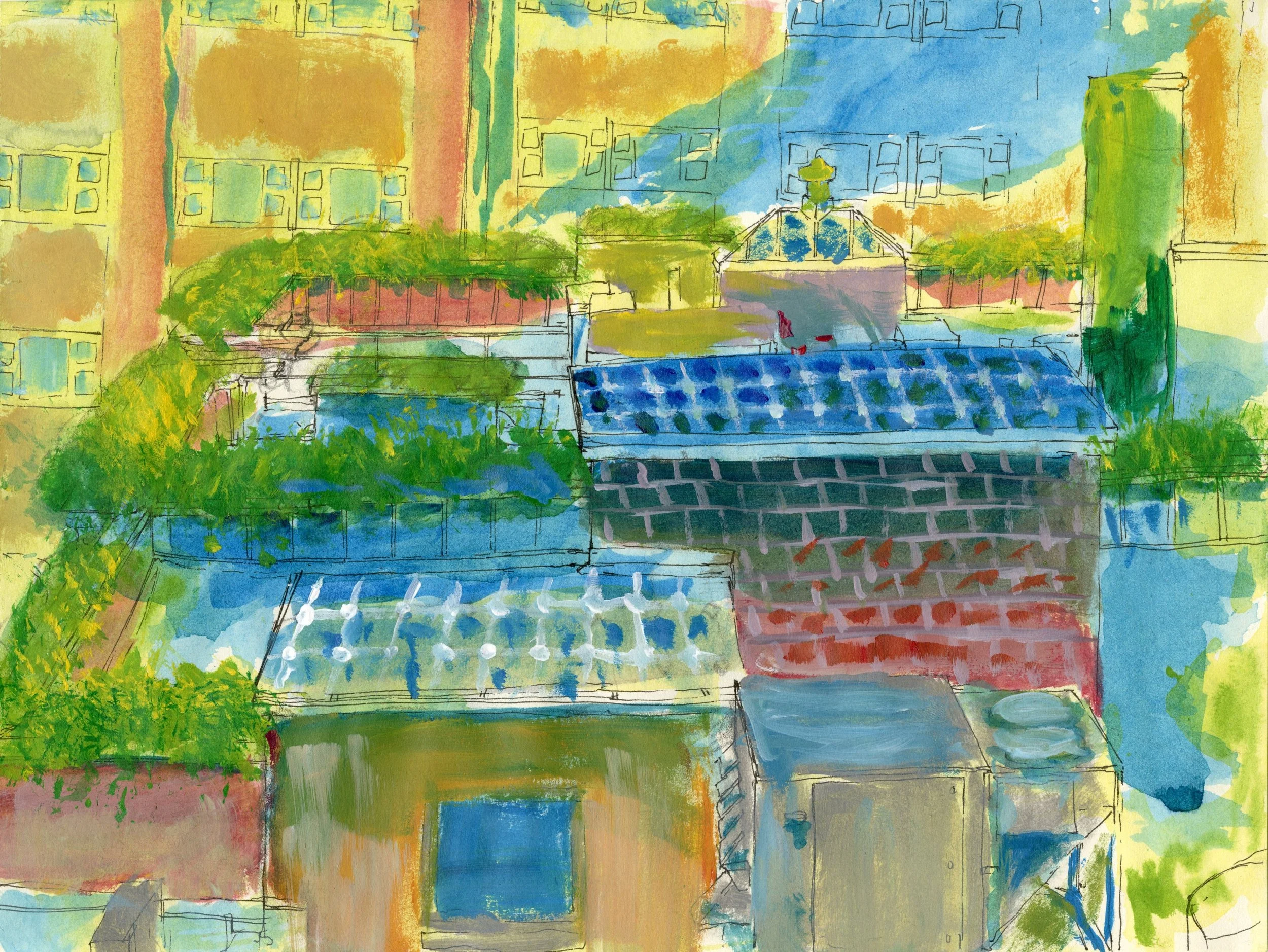 7Leo Hall DOtC23-NEC Roof 2.jpg