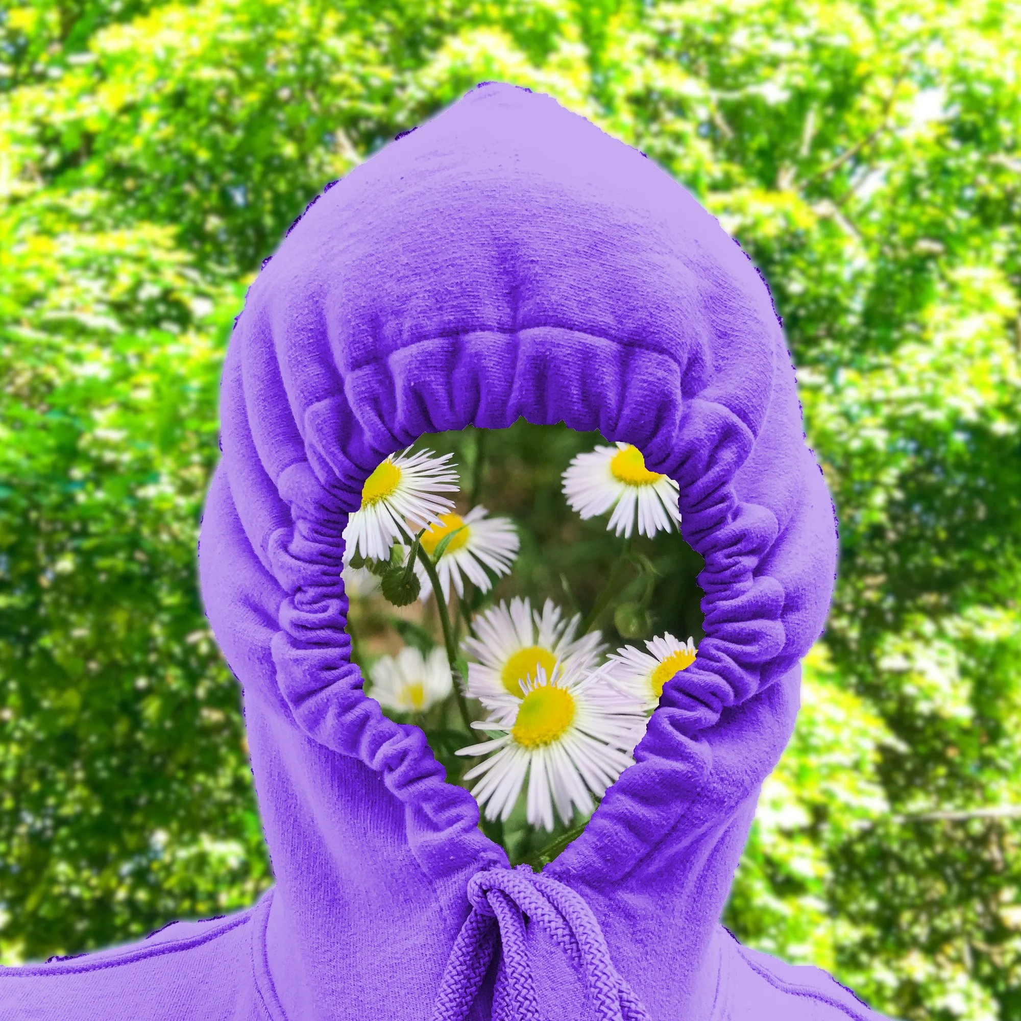 zone5oog portrait anonymous botanical artist portrait. Flowers in place of face, Wisconsin