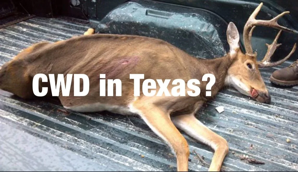 New article posted! Go check it out.
#cwd #chronicwastingdisease #texas #texasdeer #texasdeerhunting