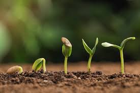 This week on our farm: Planting, Planting, Packaging, and Computer Crap