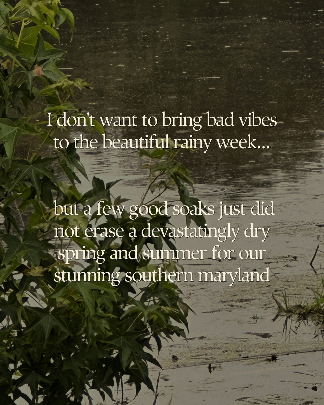 A few good soaks did not erase a devastatingly dry spring and summer in Southern Maryland