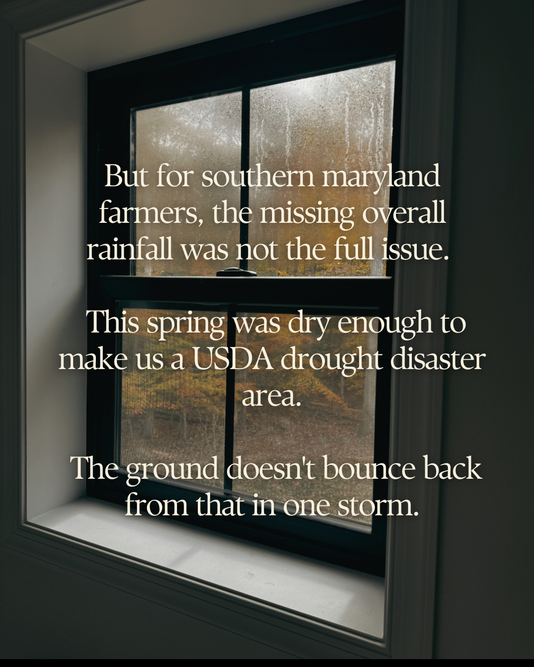 The spring was dry enough to make us a USDA drought disaster area, and the ground doesn't bounce back in one storm