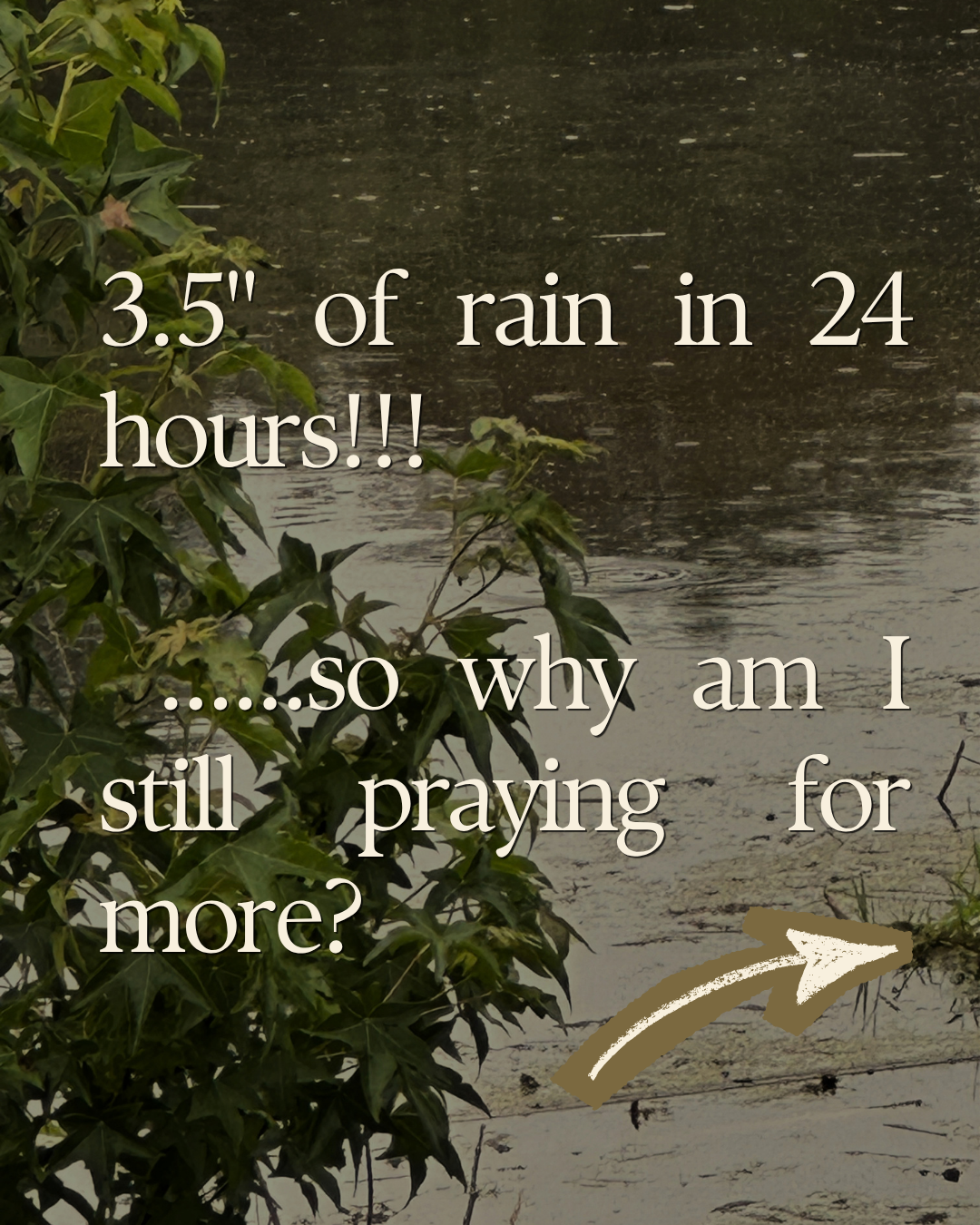 3.5 inches of rain in 24 hours, so why am I still praying for more? Rain falling on standing water in our yard