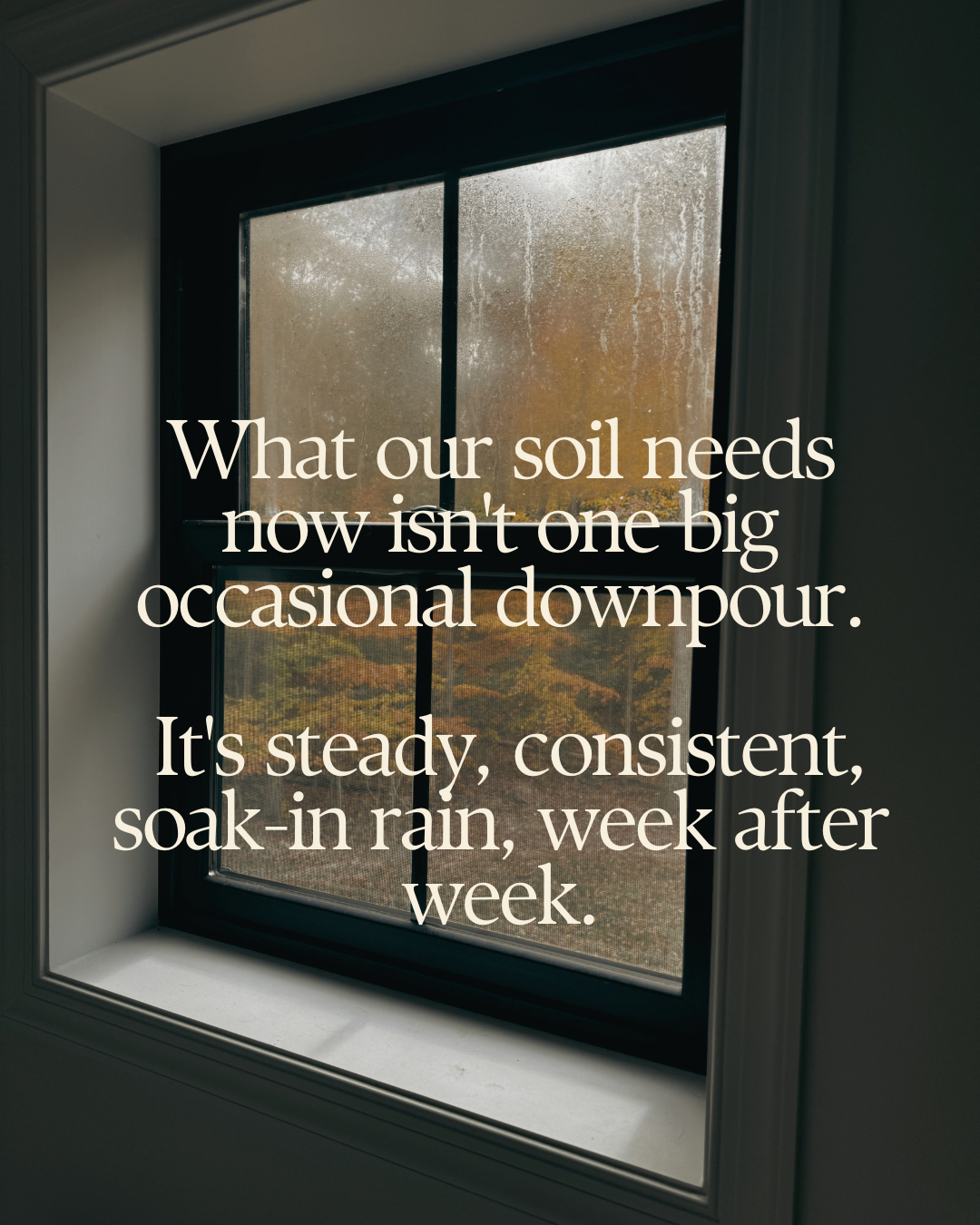Rainy Day Check in and Drought Update  from Bel Alton, Maryland