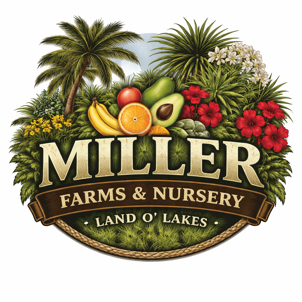 Miller Farms &amp; Nursery