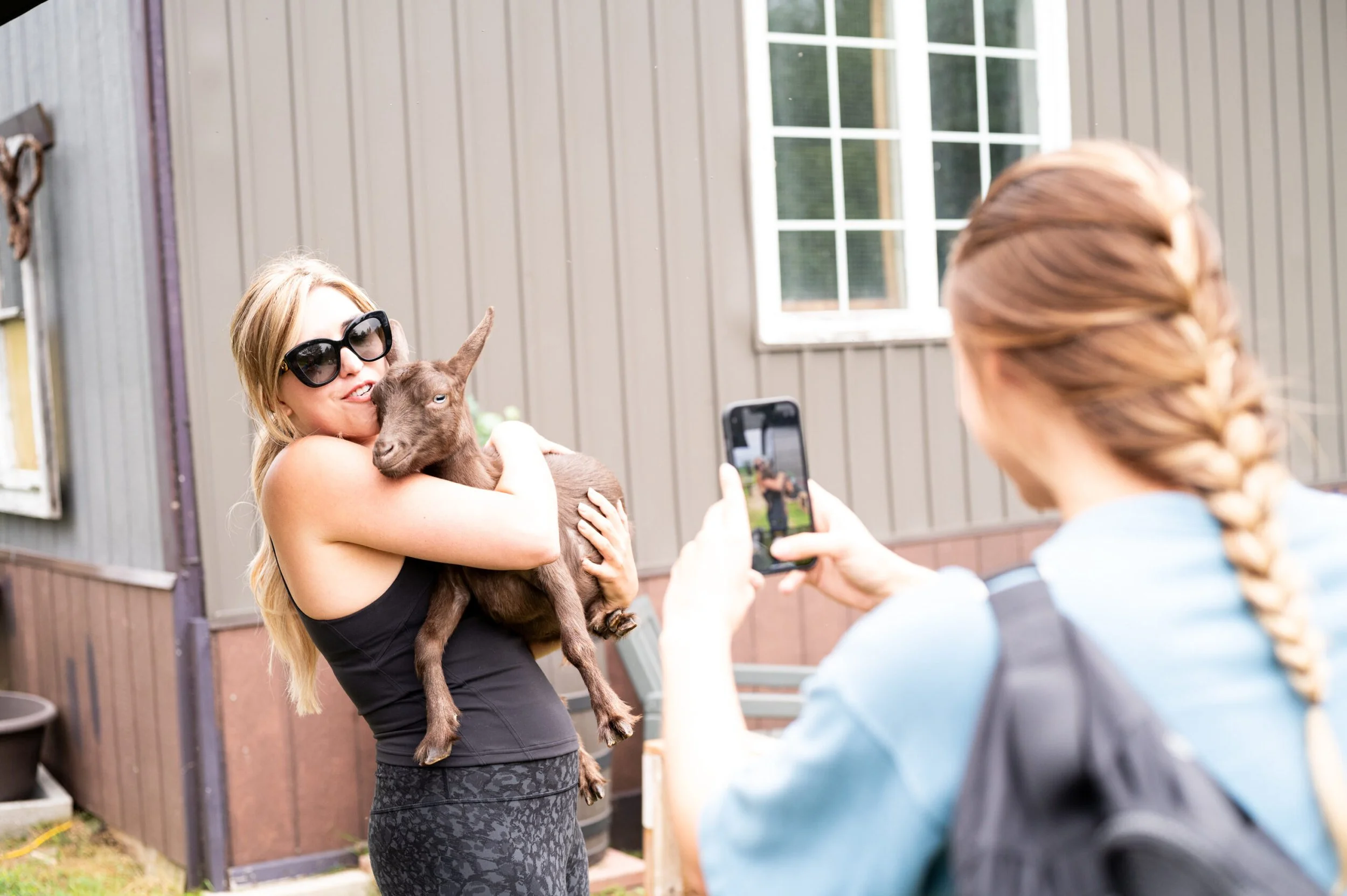 CÂLINS AVEC CHÈVRES - GOAT SNUGGLES