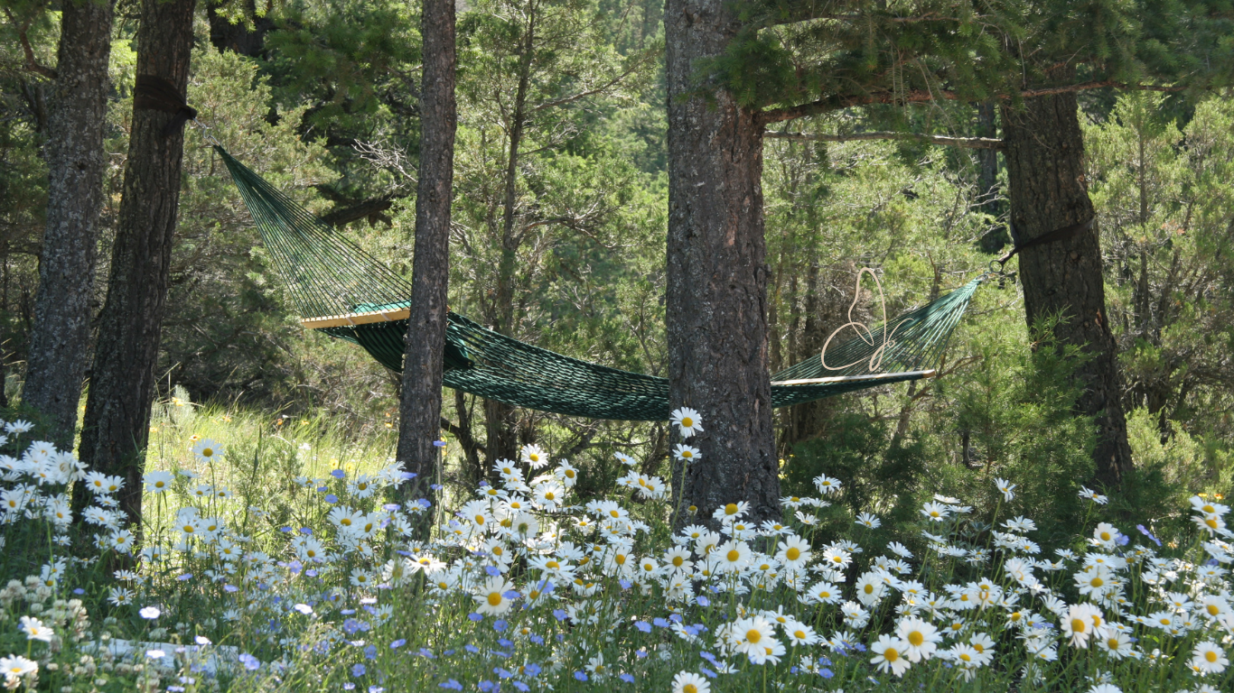 SPRING DAY RETREAT - RETRAITE DE PRINTEMPS