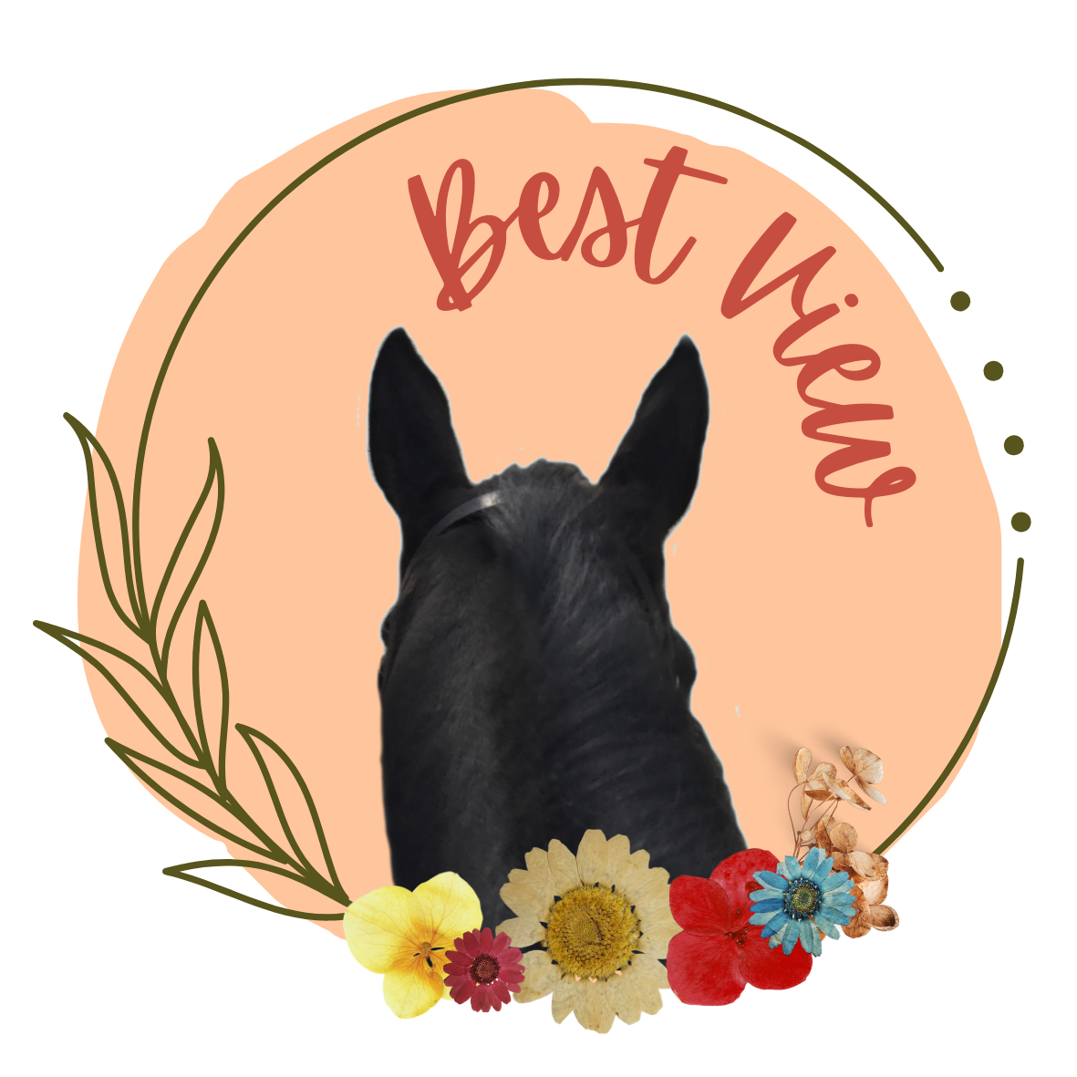 Best View Horse Ears Sticker / Autocollant oreilles de cheval « Best View »