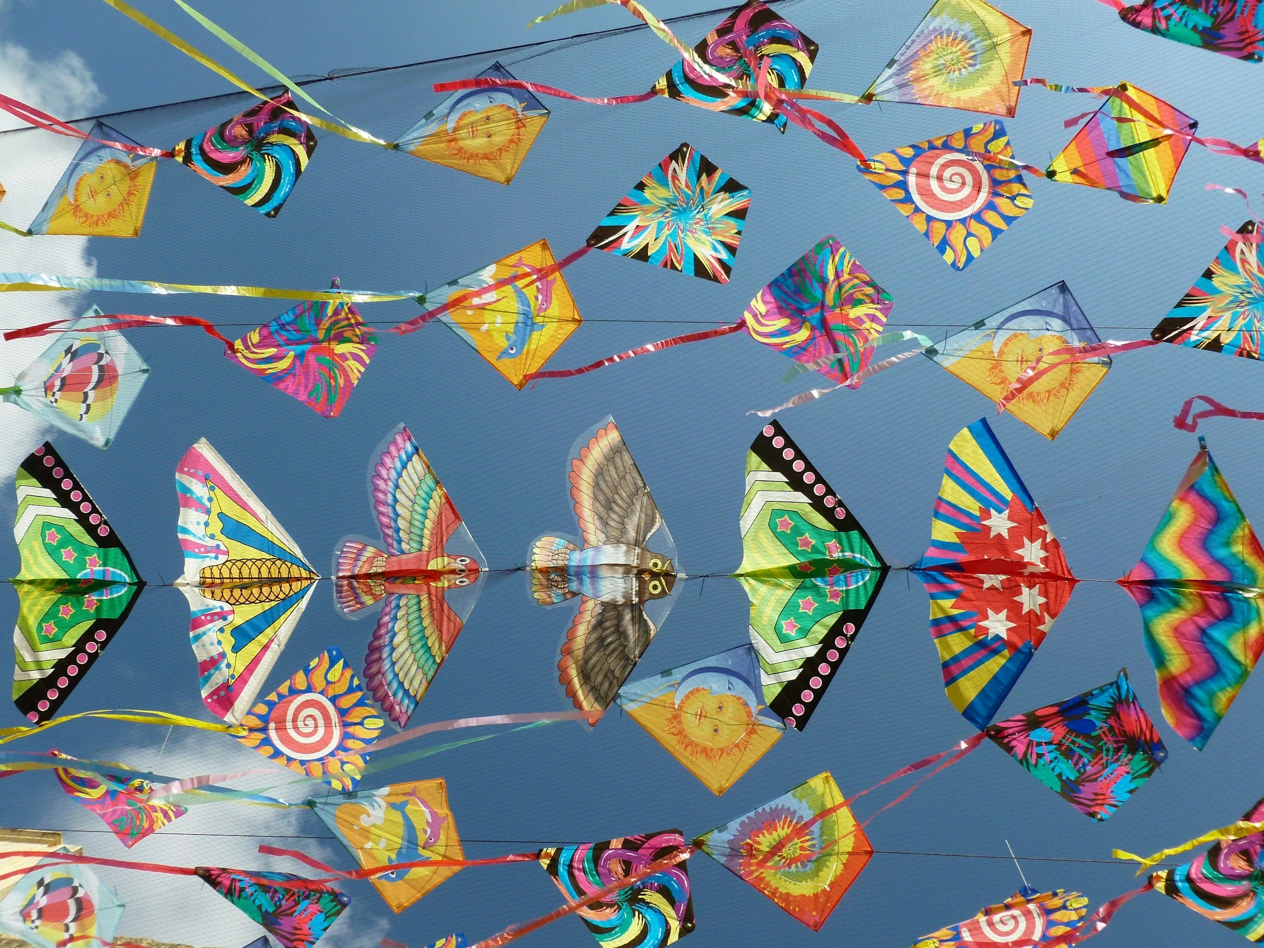 The romance of kites