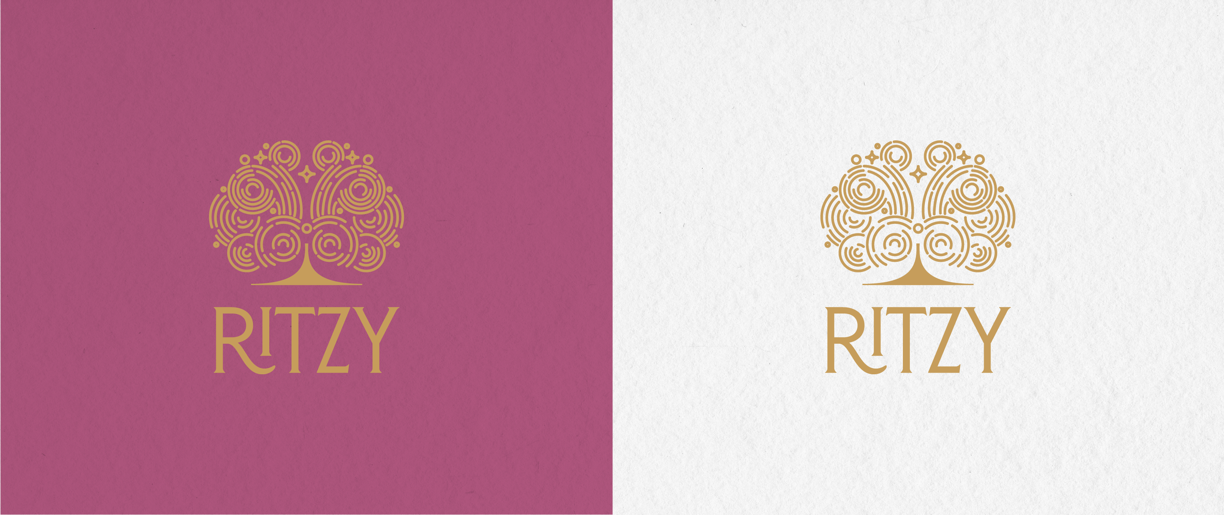 web slides_ritzy-02.png