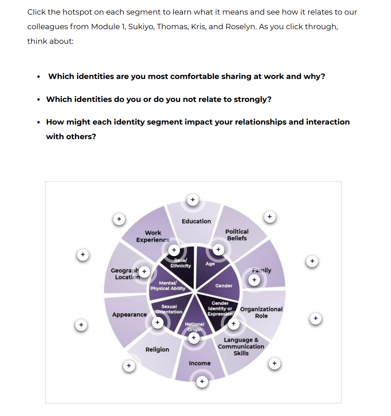 A screenshot from the Rise360 training showing the Identity Wheel with interactive hotspots to click through.