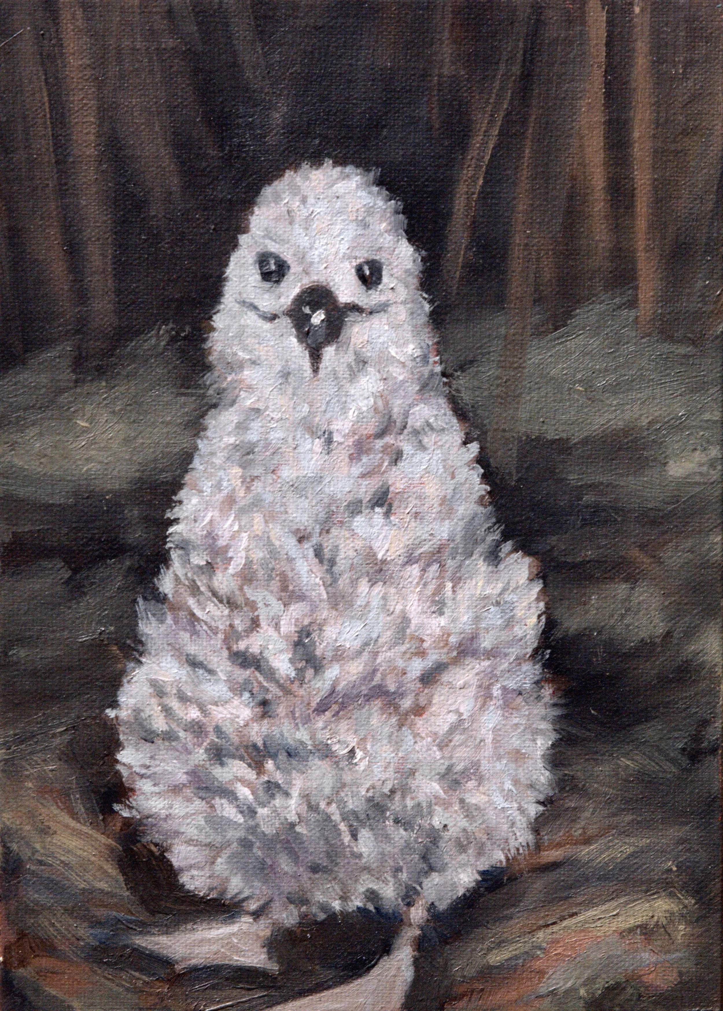 A painting of a fluffy white ablatross baby sitting in its nest in a dark, covered space.