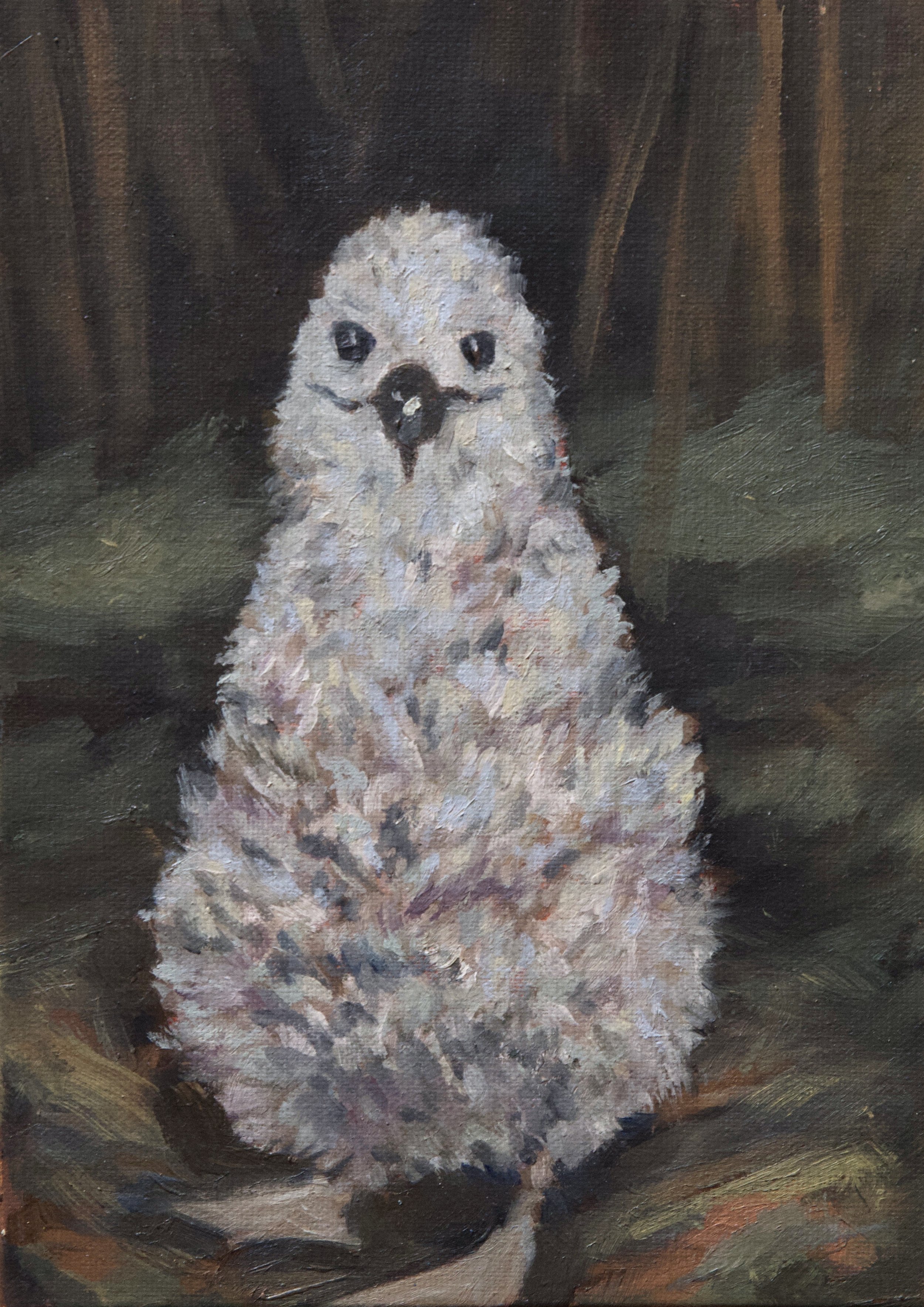 A painting of a fluffy white ablatross baby sitting in its nest in a dark, covered space.