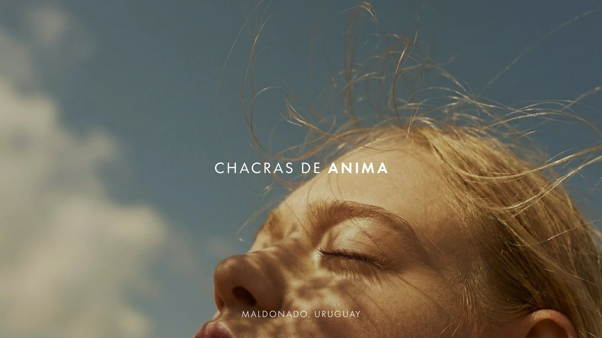 Chacras de Anima