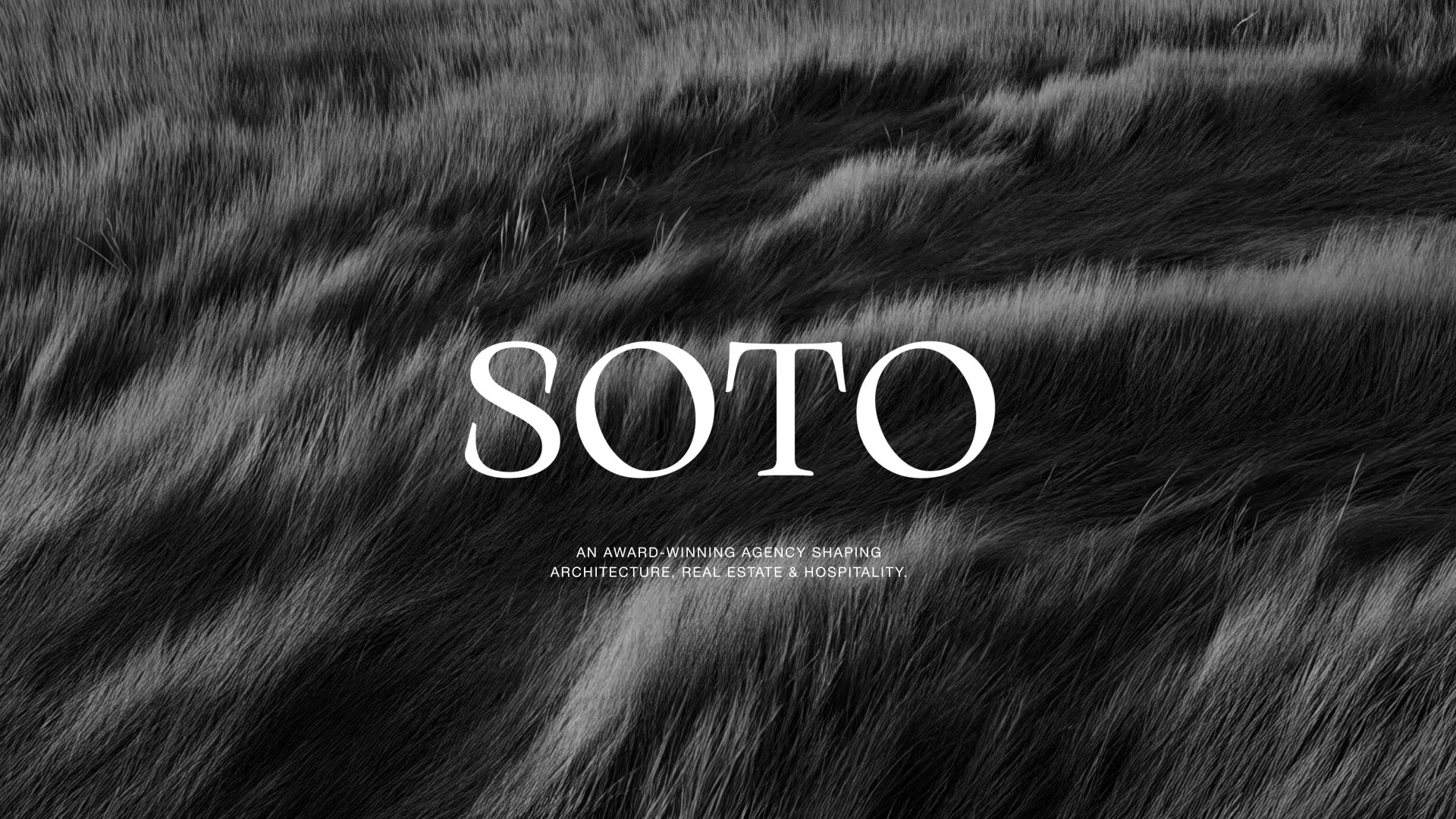 Black and white photo of flowing fur with the word 'SOTO' prominently displayed in the center.