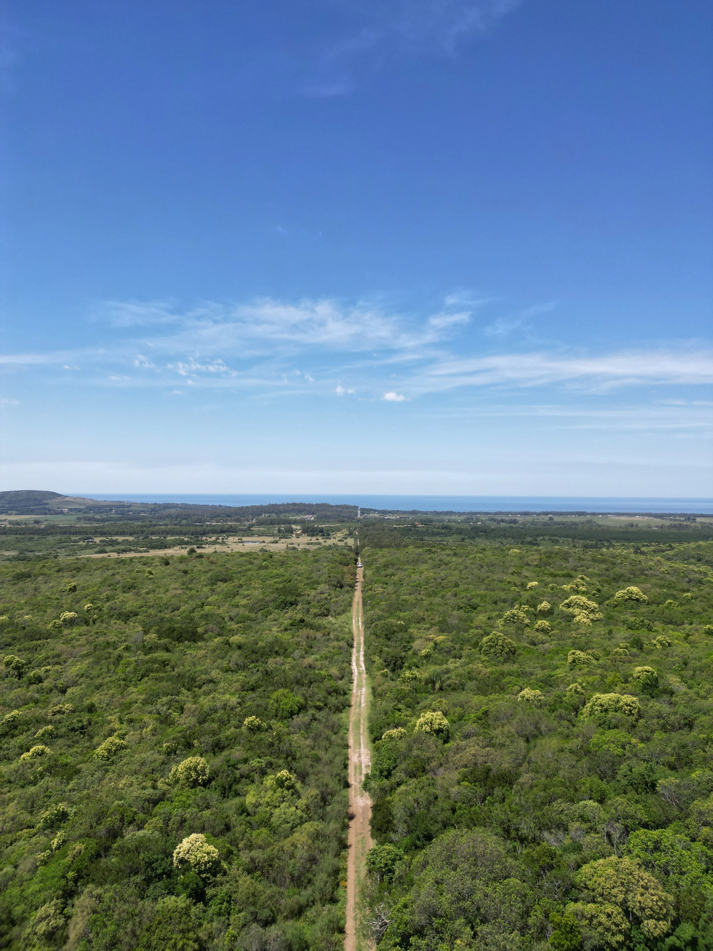 DJI_0897.JPG