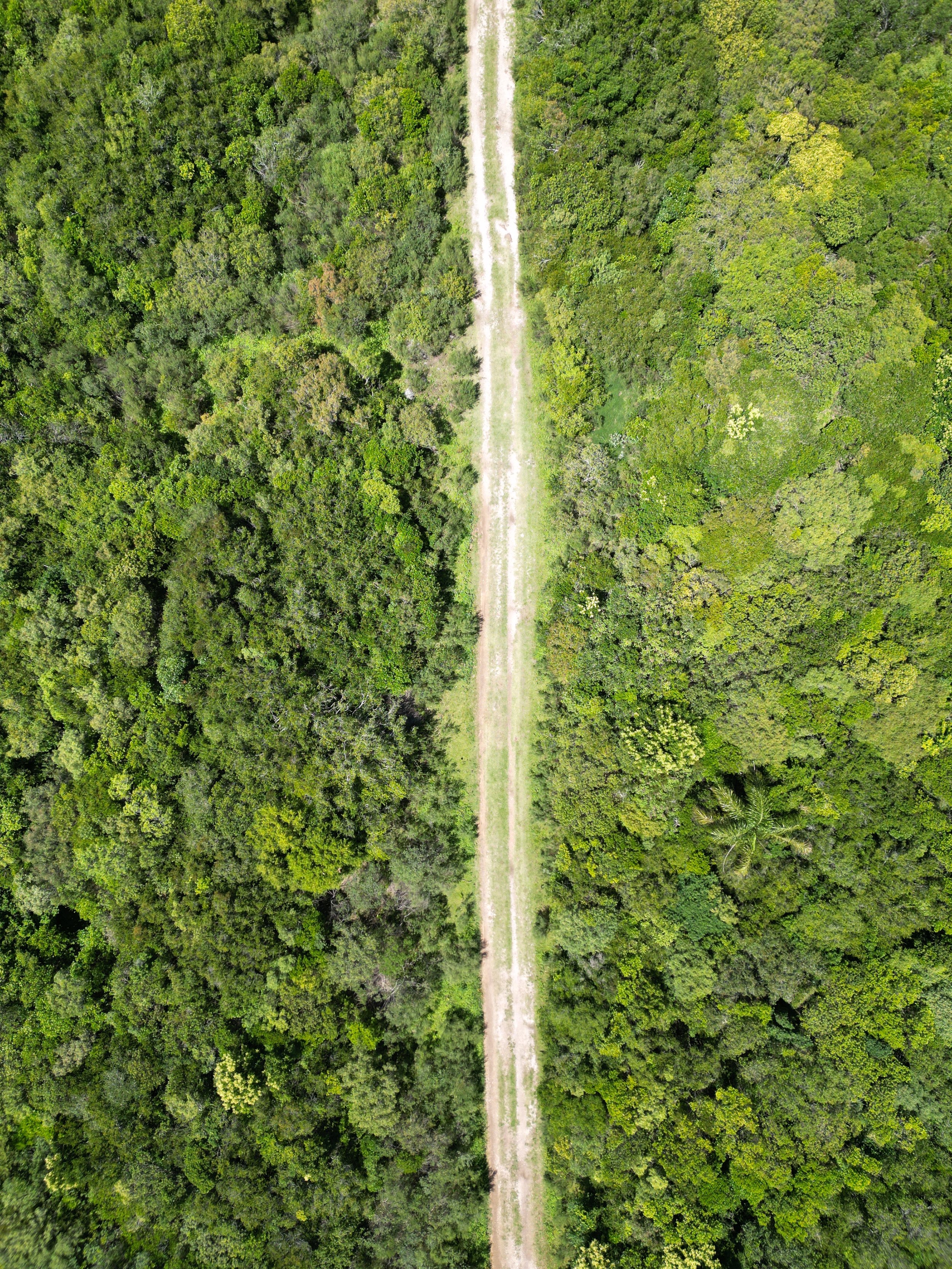 DJI_0909.JPG