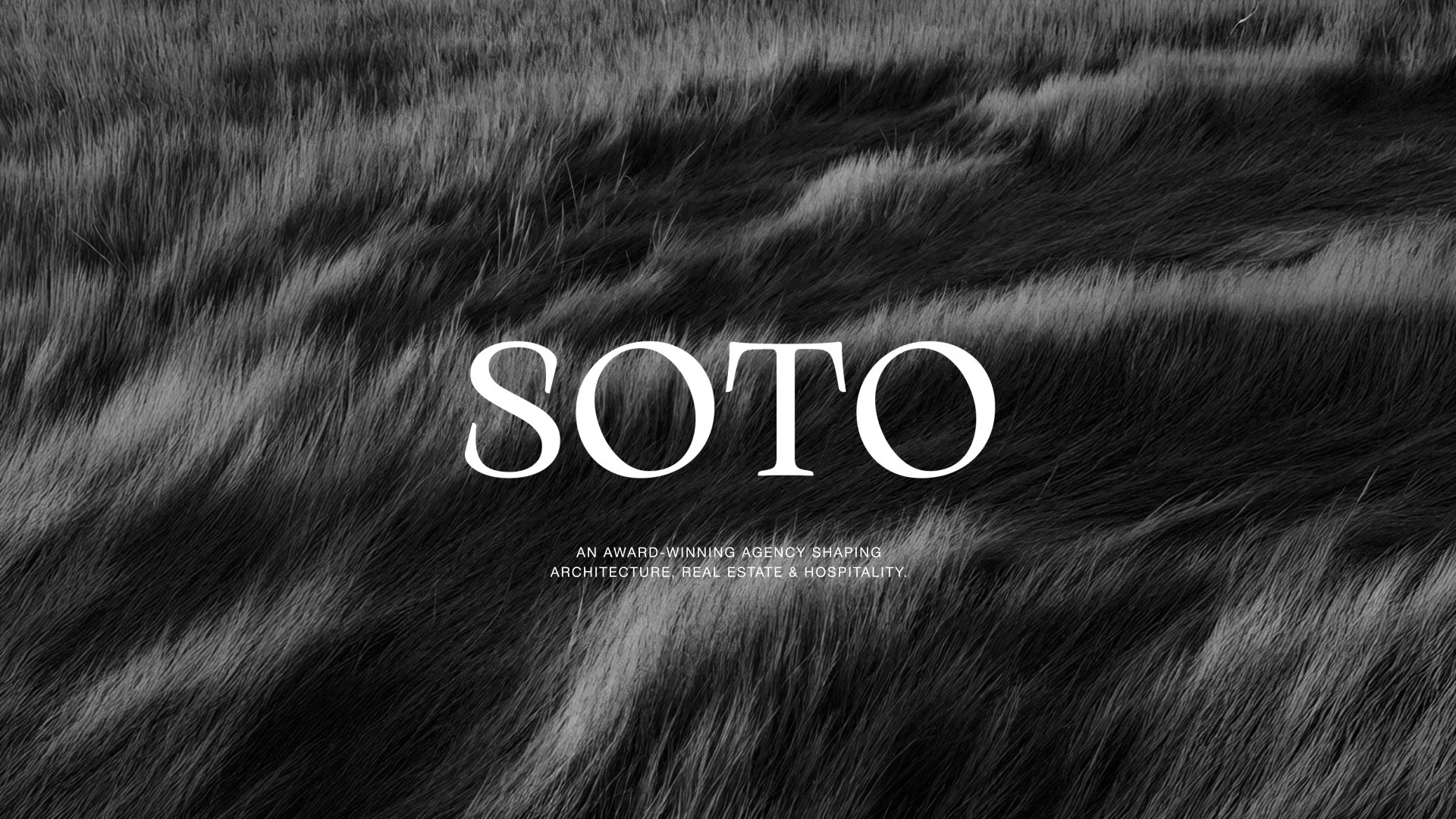 Black and white close-up photograph of animal fur with the word 'SOTO' overlaid in large white text, and smaller white text underneath.