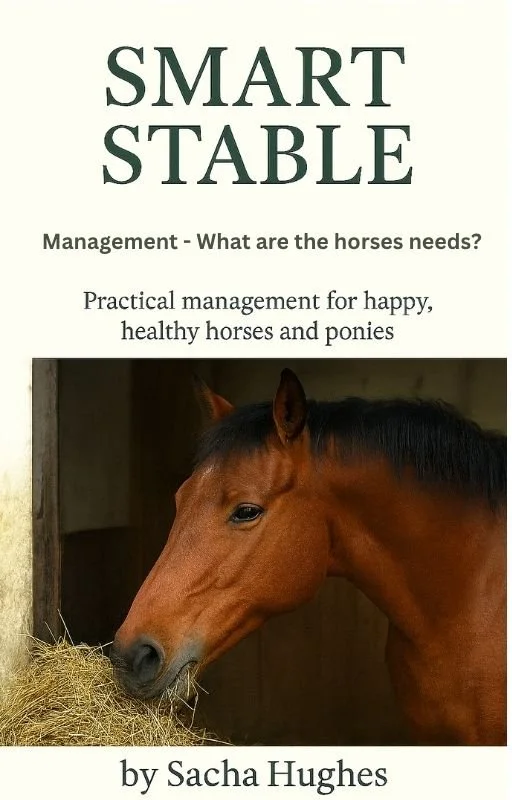 Smart Stable - Management - How do we care for our horses?