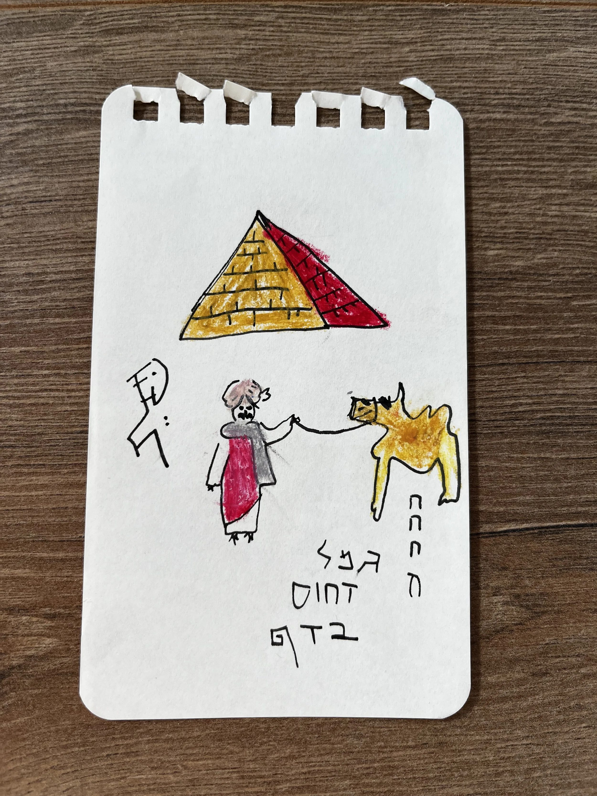 גמל דחוס בדף