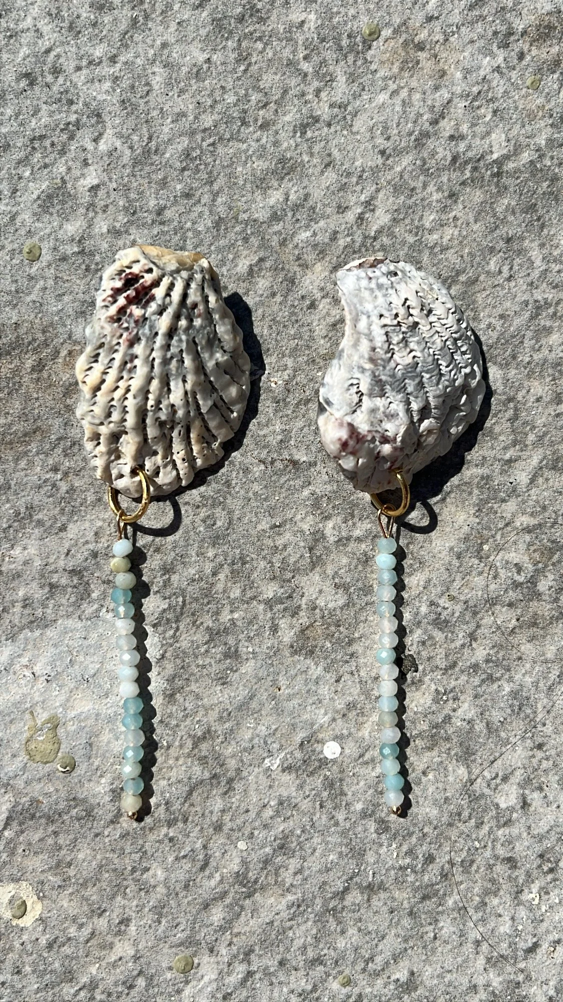 seashell earrings #1