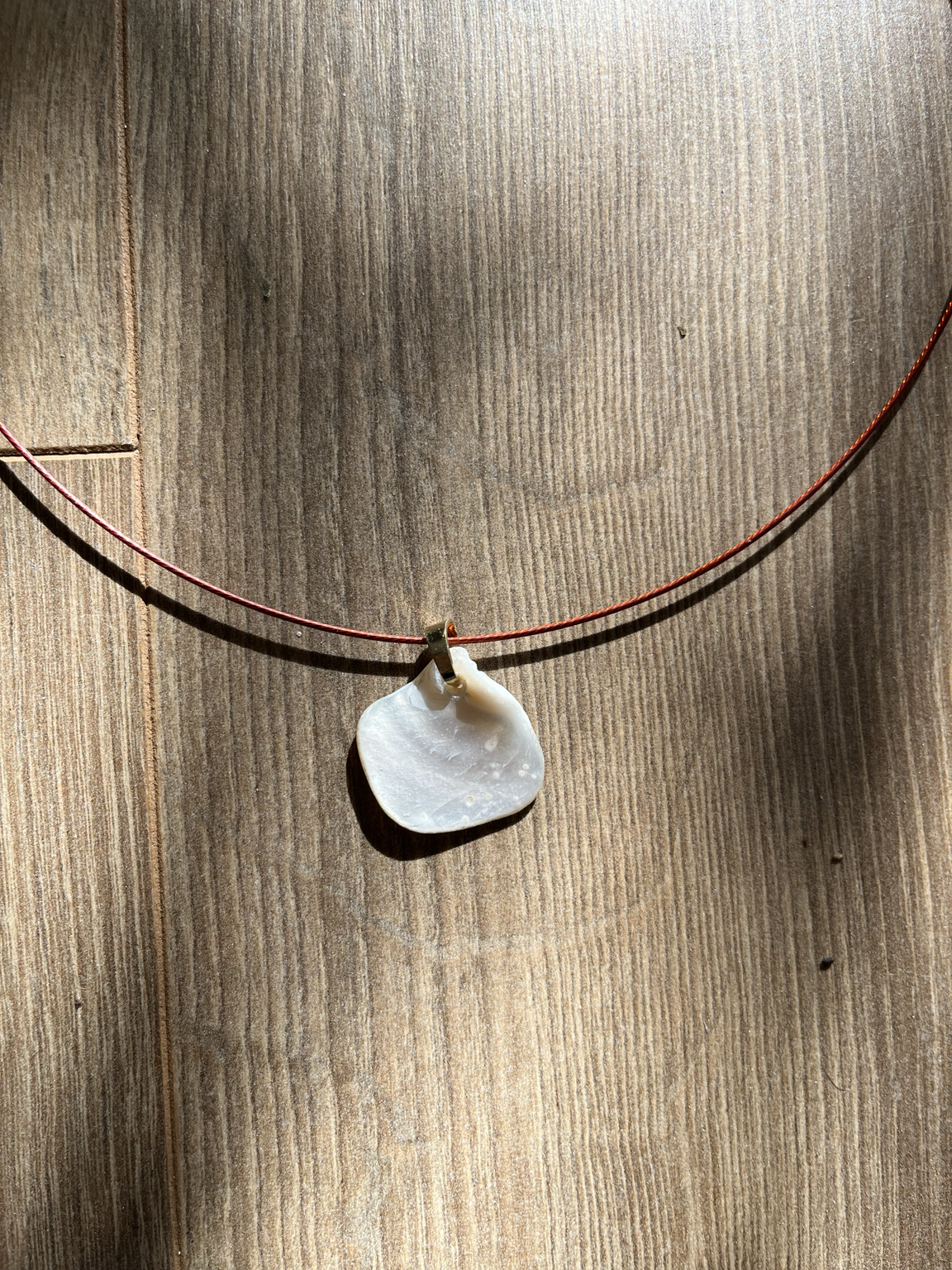 Sea shell 01 - Sinai