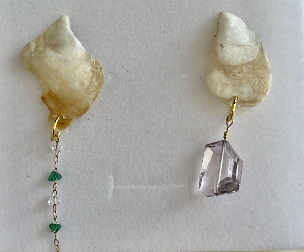 seashell earrings #1