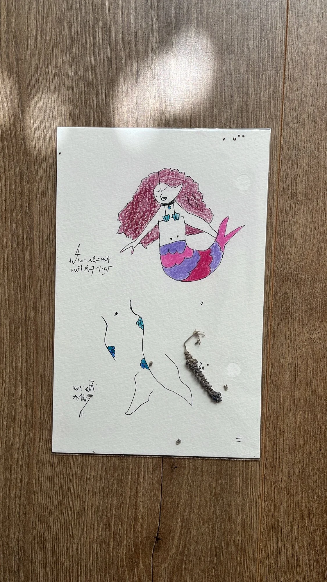 ED3813F4-A0C4-463F-91FF-1347233926E1.jpeg (Copy)