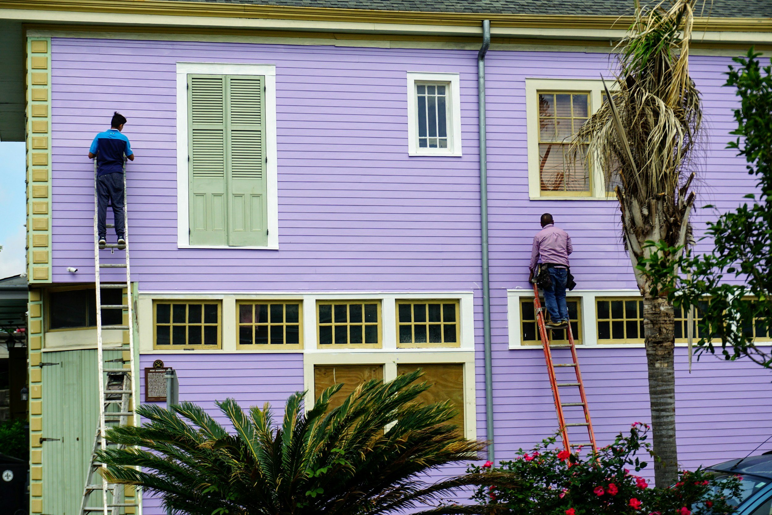Two workers working on a purple house exterior. One is standing on a ladder near a window, and the other is on a different ladder near the house's siding, with a palm tree nearby.