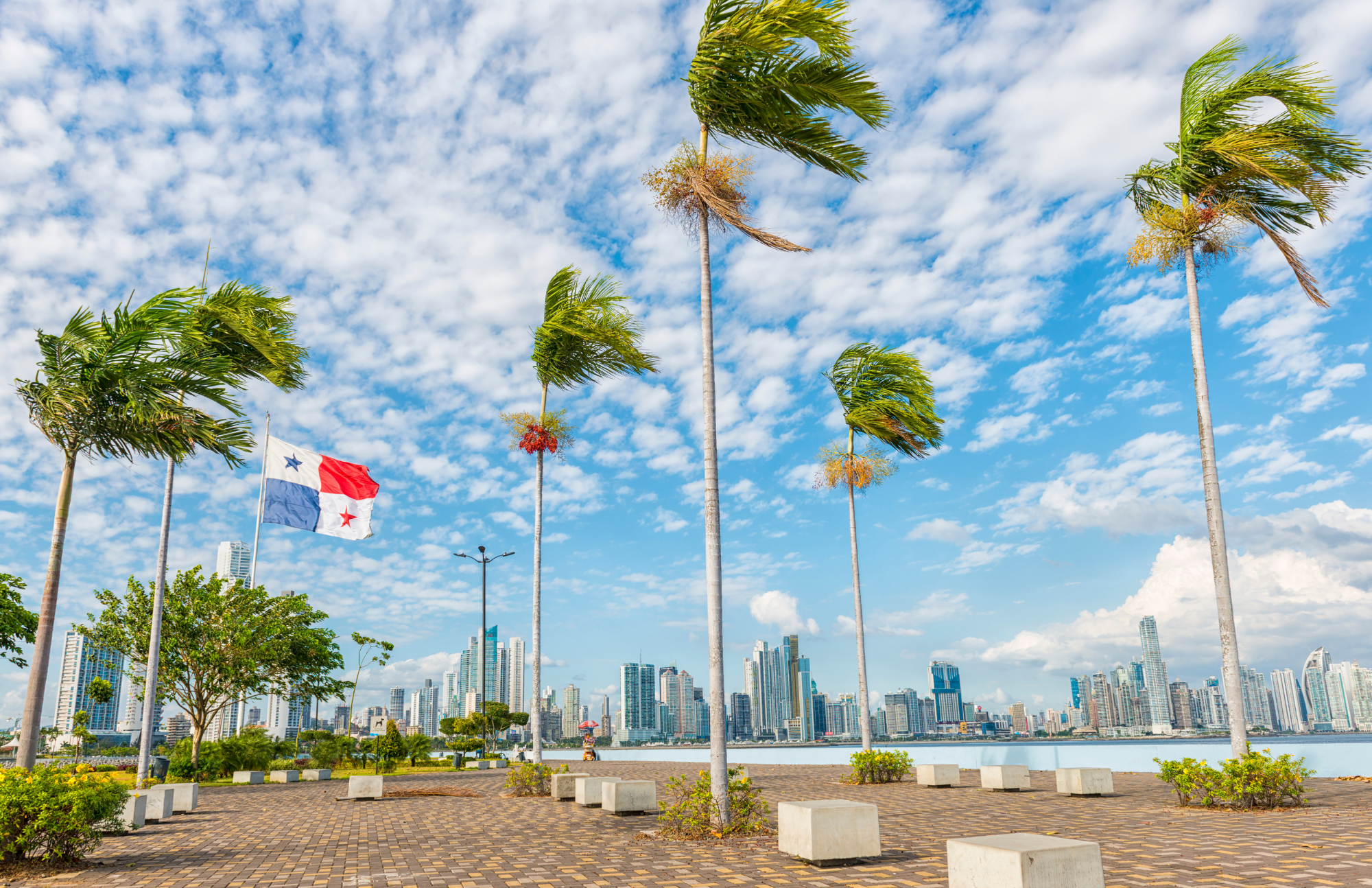 Cityscape with tall buildings, palm trees in the foreground, a flag of Panama, and a partly cloudy sky.