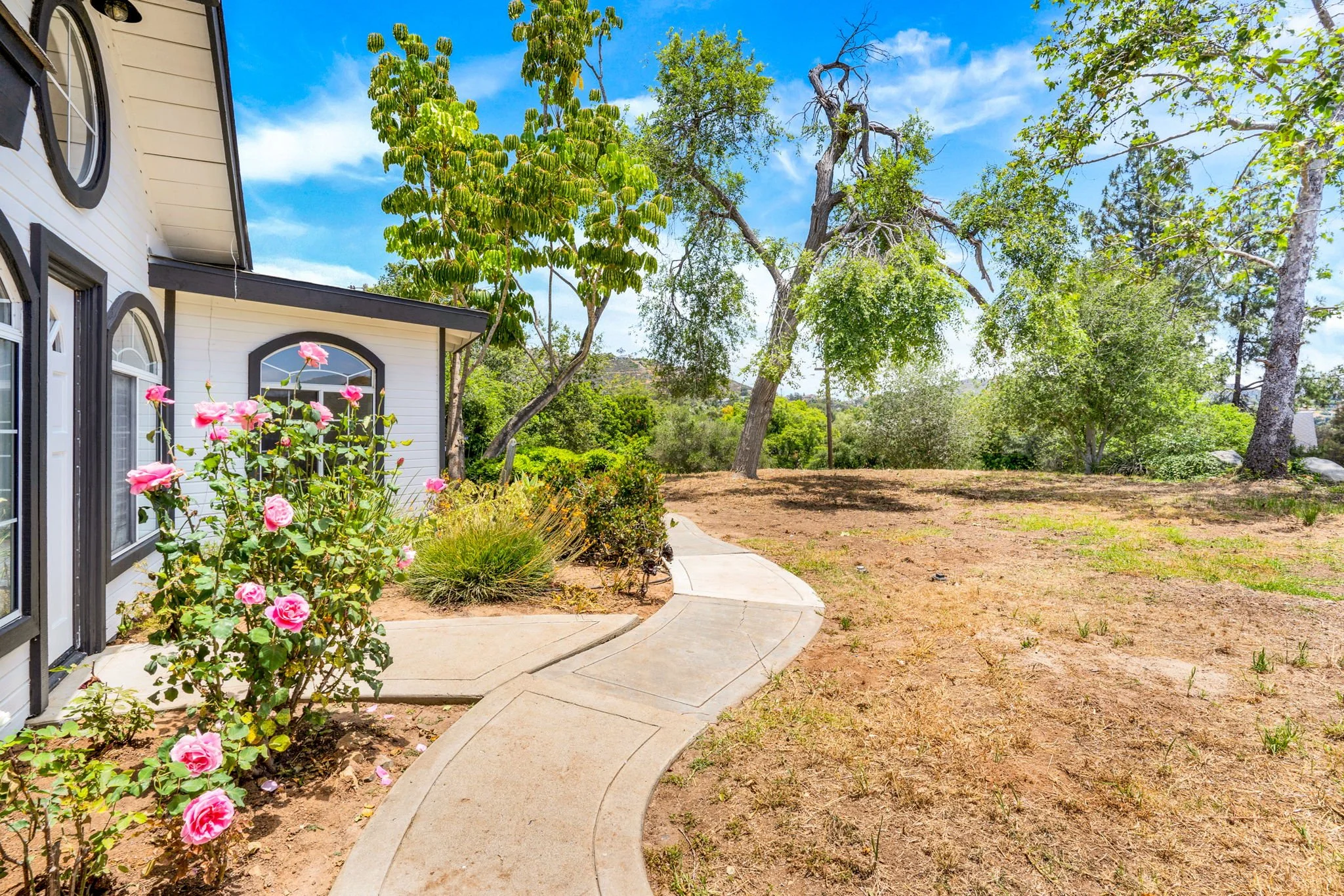 38-web-or-mls-746 Ora Avo (35 of 51).JPG