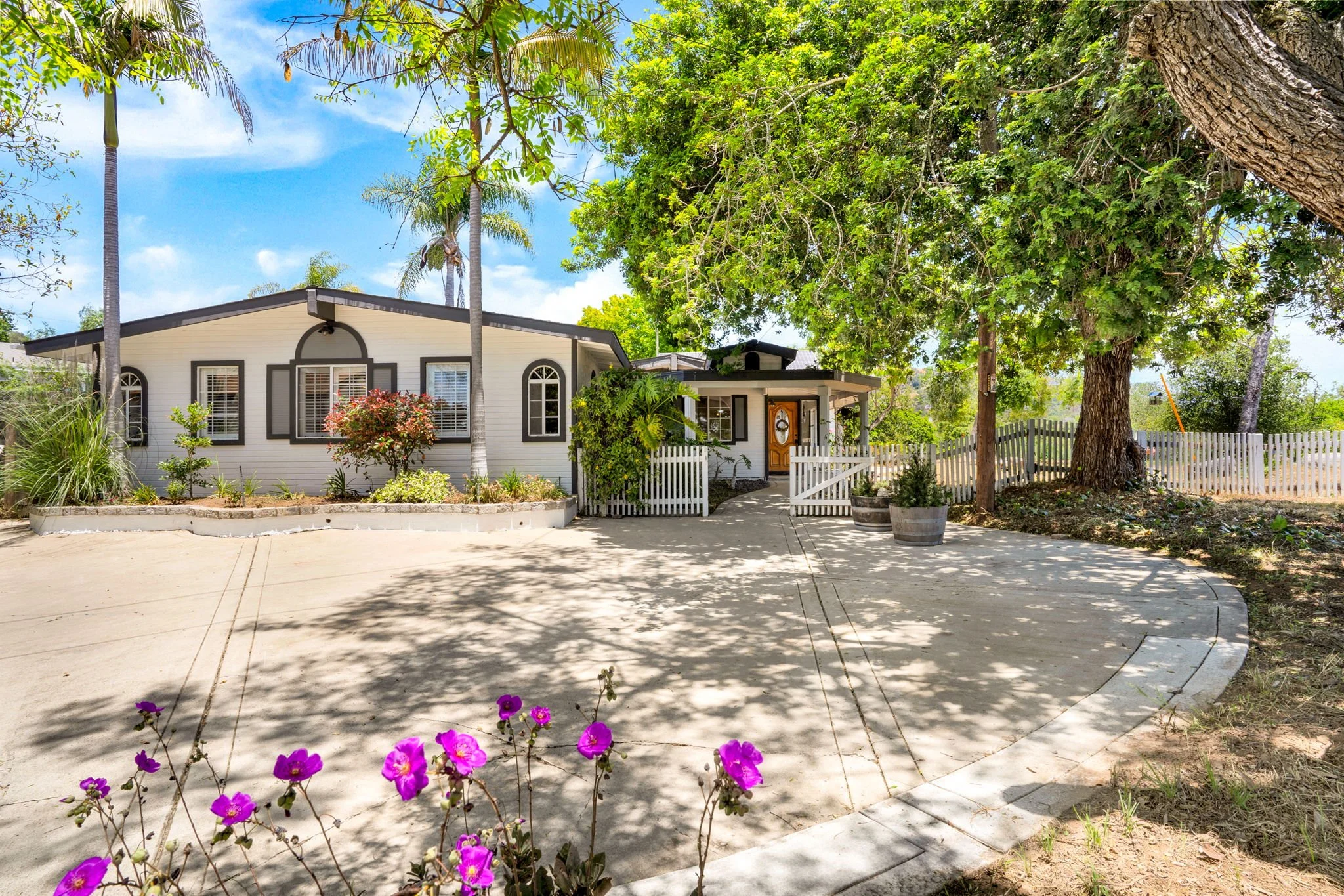 3-web-or-mls-746 Ora Avo (44 of 51).JPG