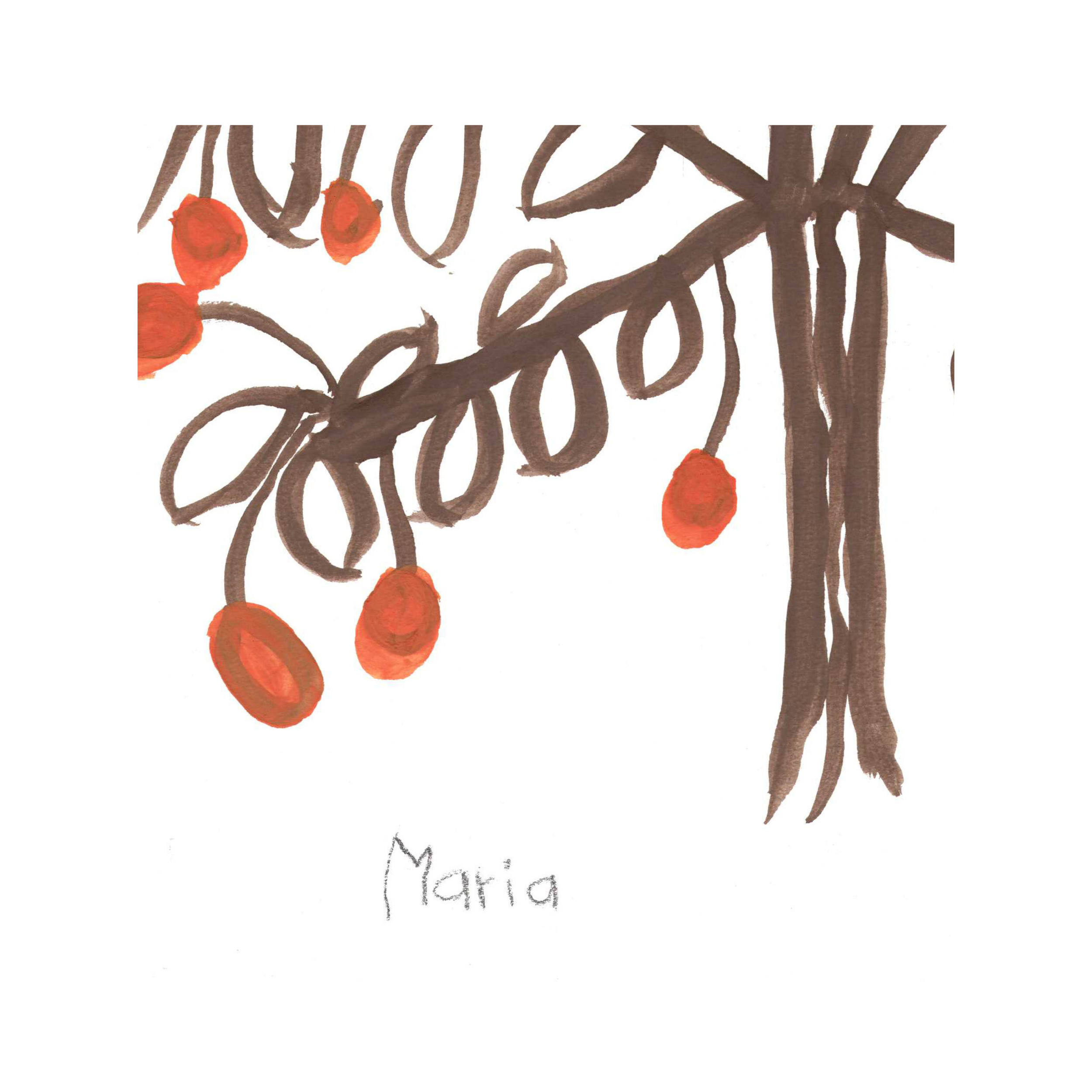 20.png