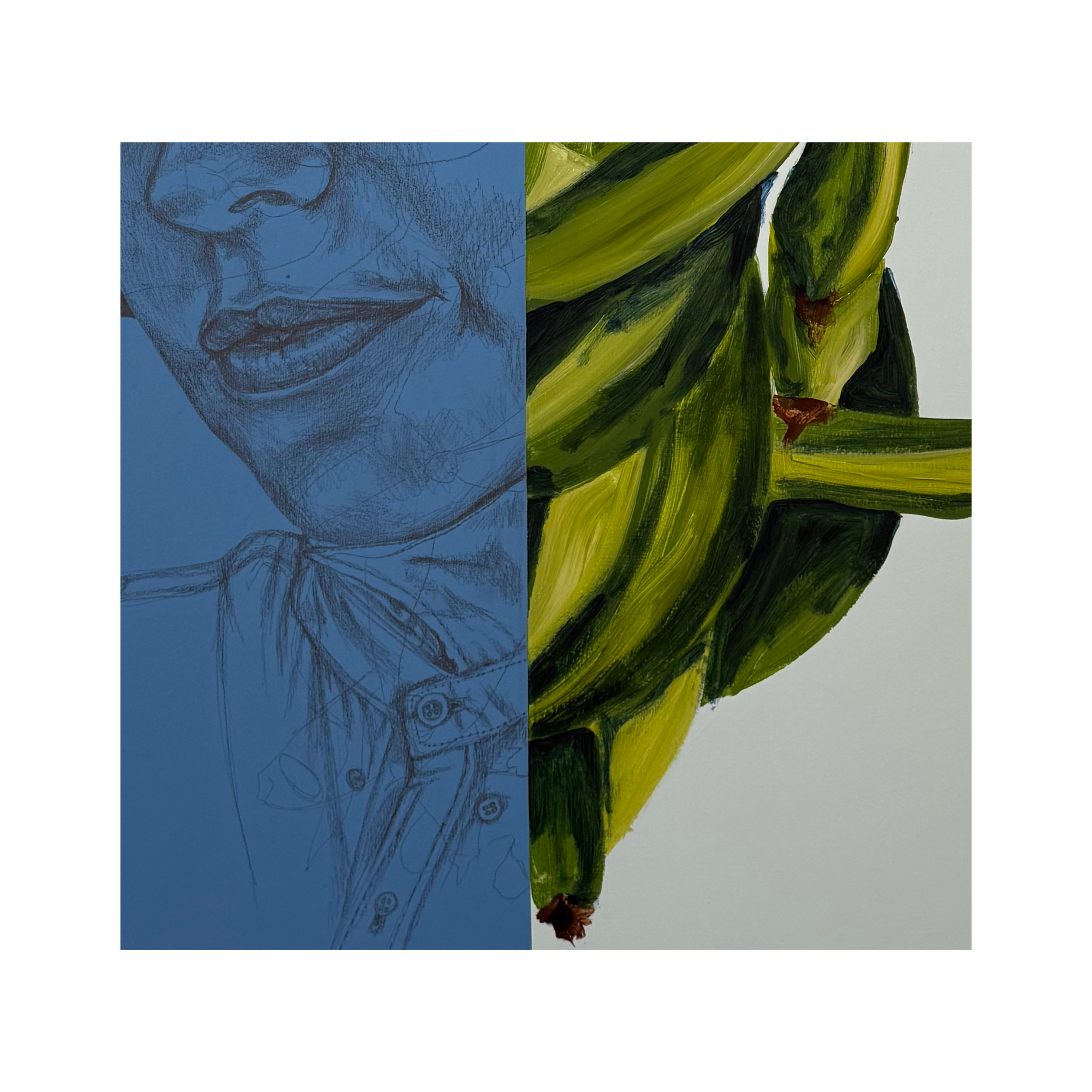 Jíbara detail2.png
