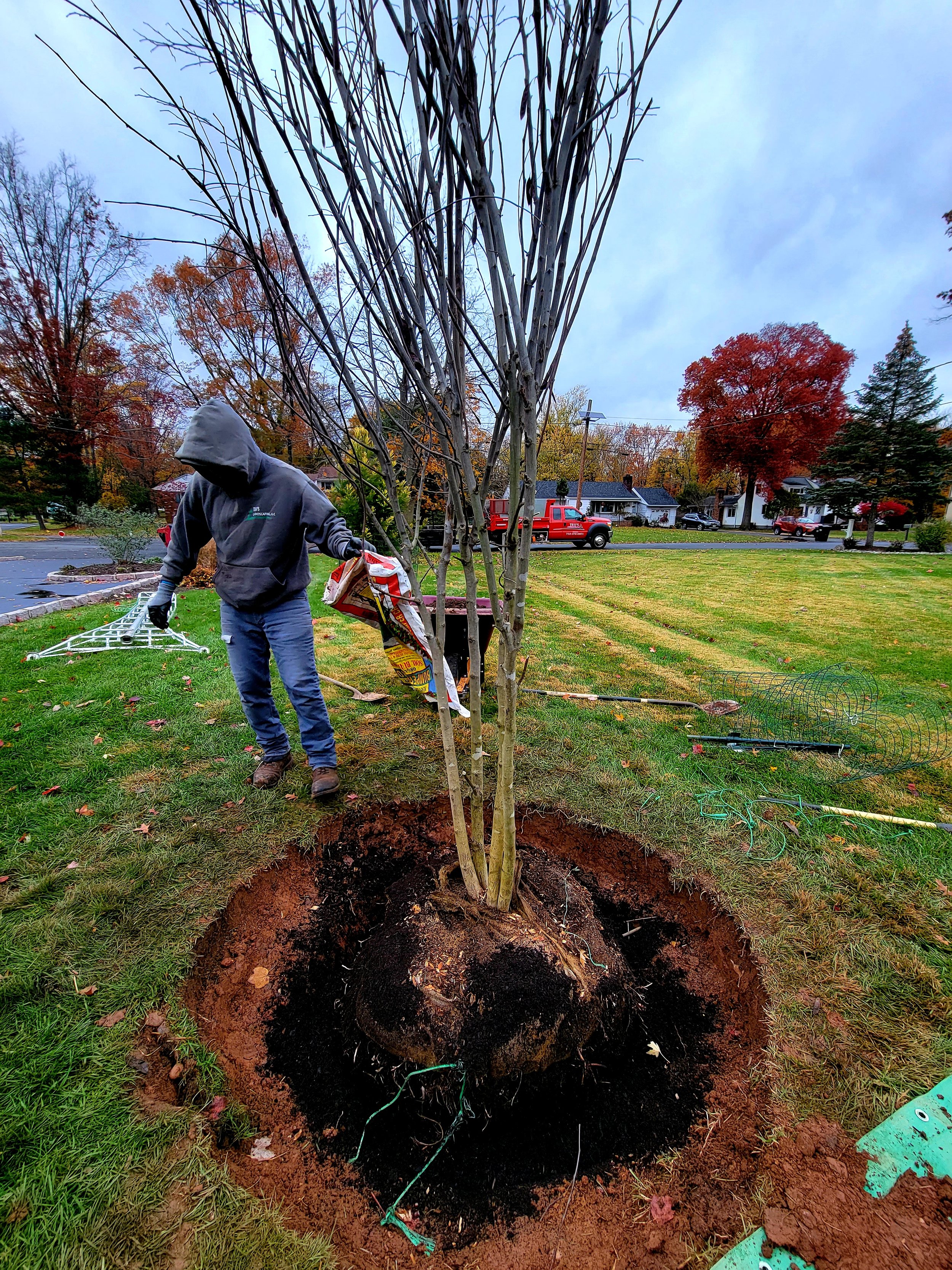 Person planting a tree in a grassy yard during the fall, with colored autumn trees and houses in the background.