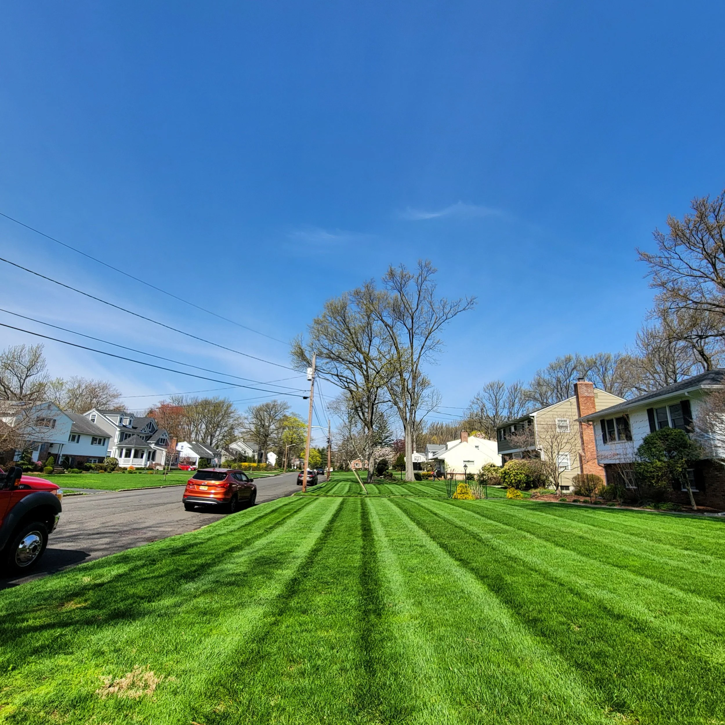 mulch installation Edison NJ