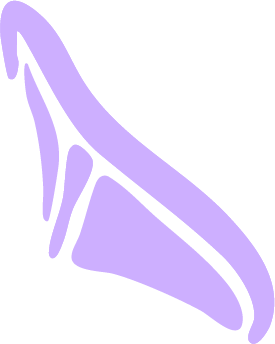 Outline illustration of a wing in purple.