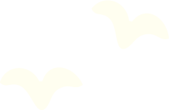 Two white birds flying in the sky.