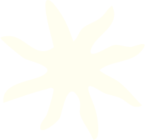 Silhouette of an abstract starburst shape with multiple arms.