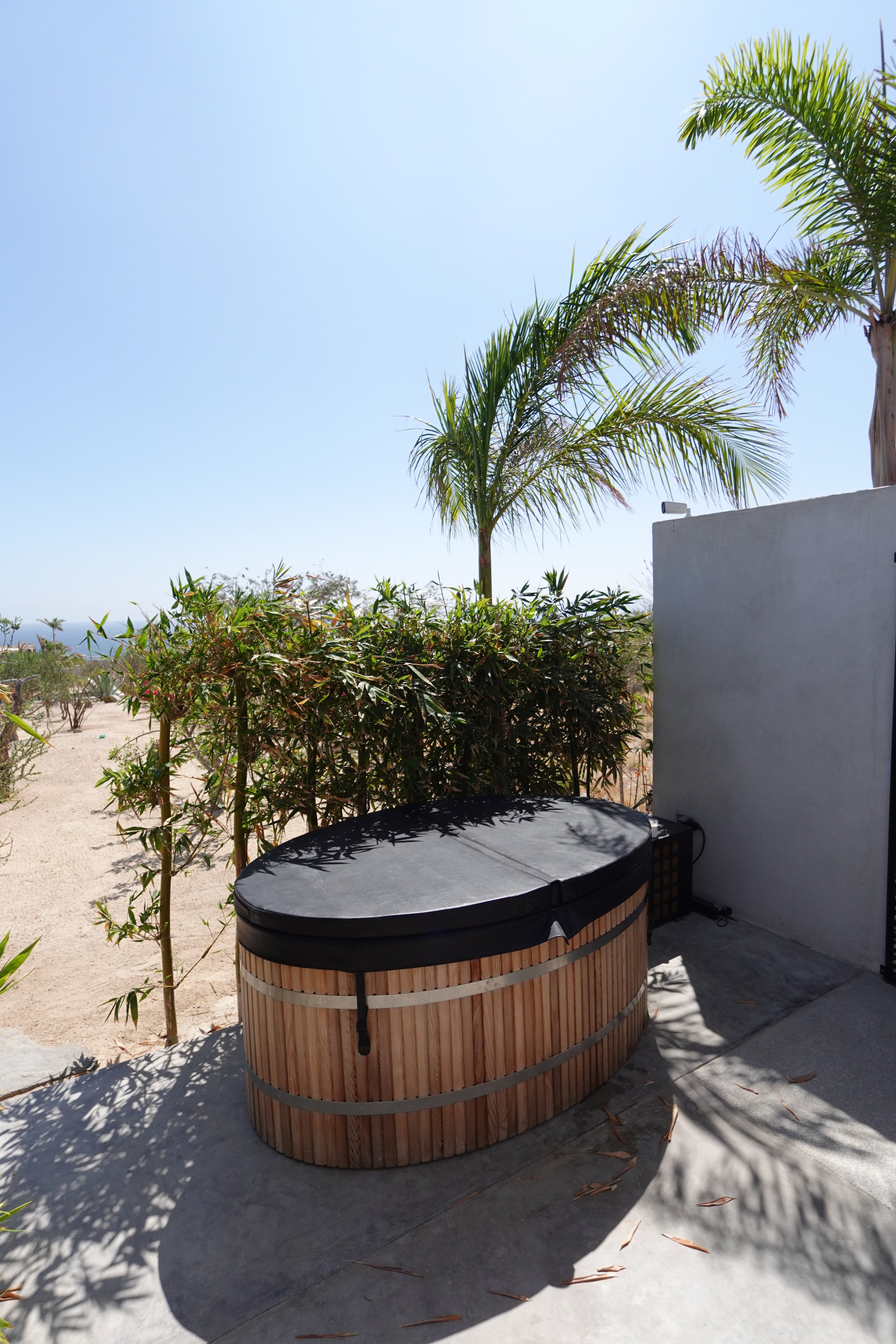 A backyard scene with palm trees, bushes, and a hot tub on a concrete patio, with clear blue sky in the background.