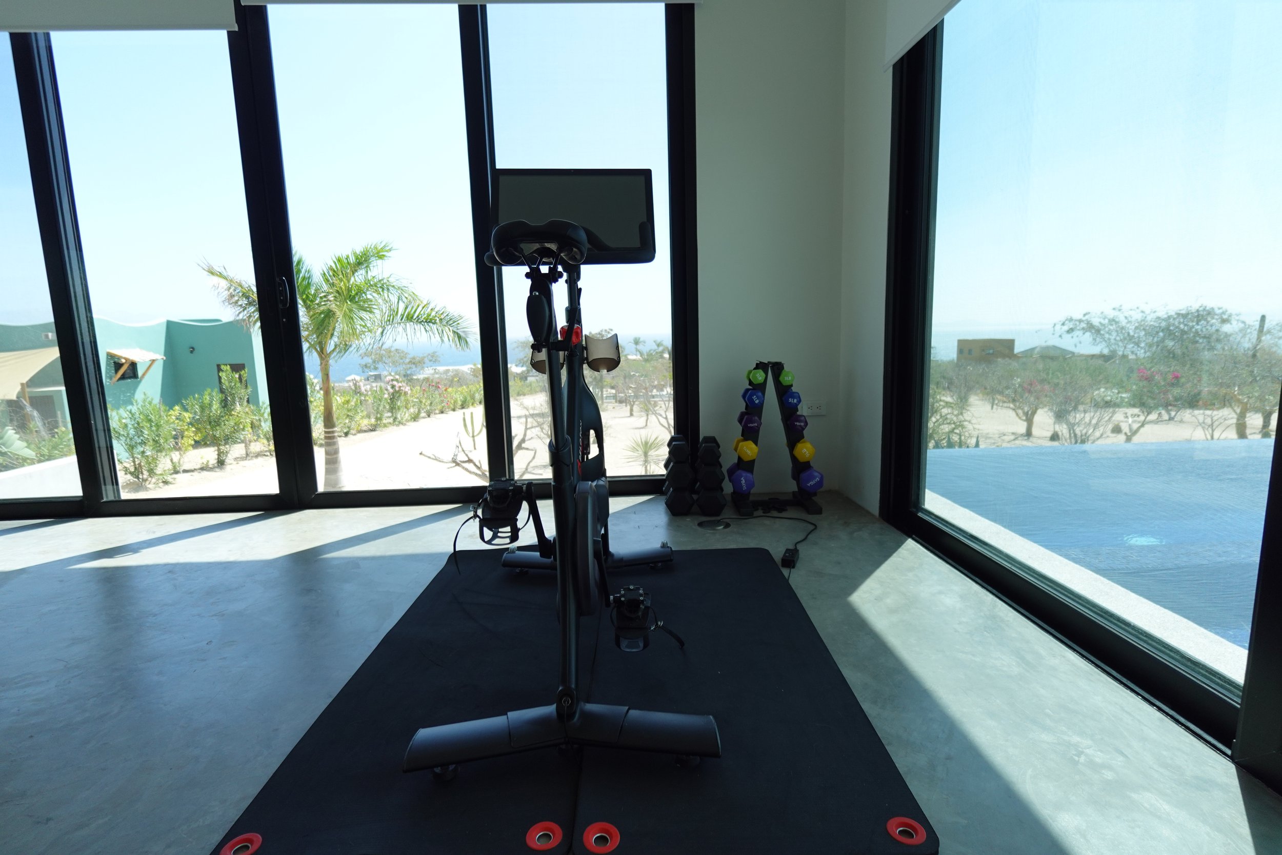 Indoor gym setup with an exercise bike, a television, and a set of colorful dumbbells near large glass windows overlooking palm trees and a beach scene outside.