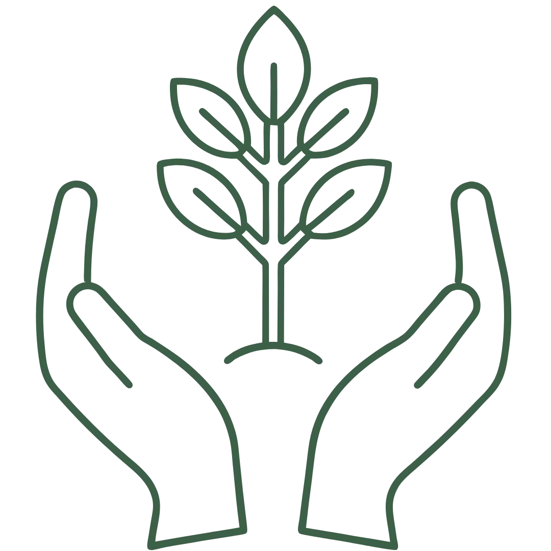 Manos sosteniendo una planta con hojas.