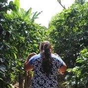 honduras-sweet-marias-coffee-maria-fernandez-2_2.jpg