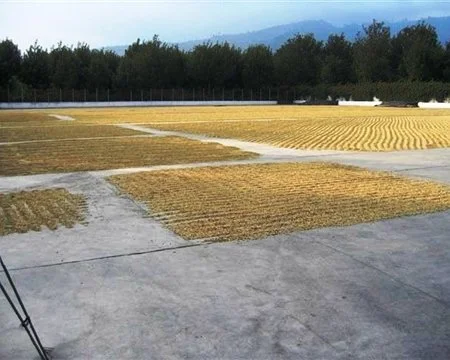 losvolcanes4.jpg