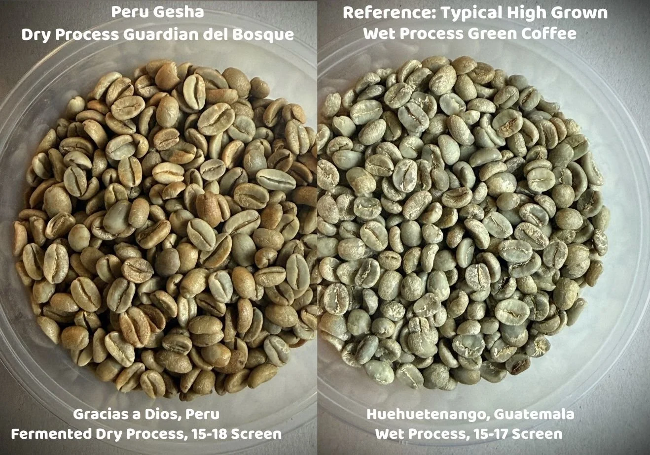 peru_organic_dry_process_guardian_del_bosque_gesha (1).jpg