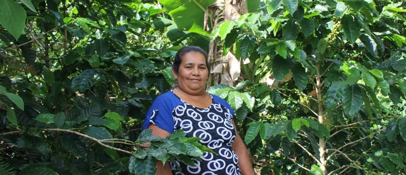 honduras-sweet-marias-coffee-maria-fernandez-1_2.jpg