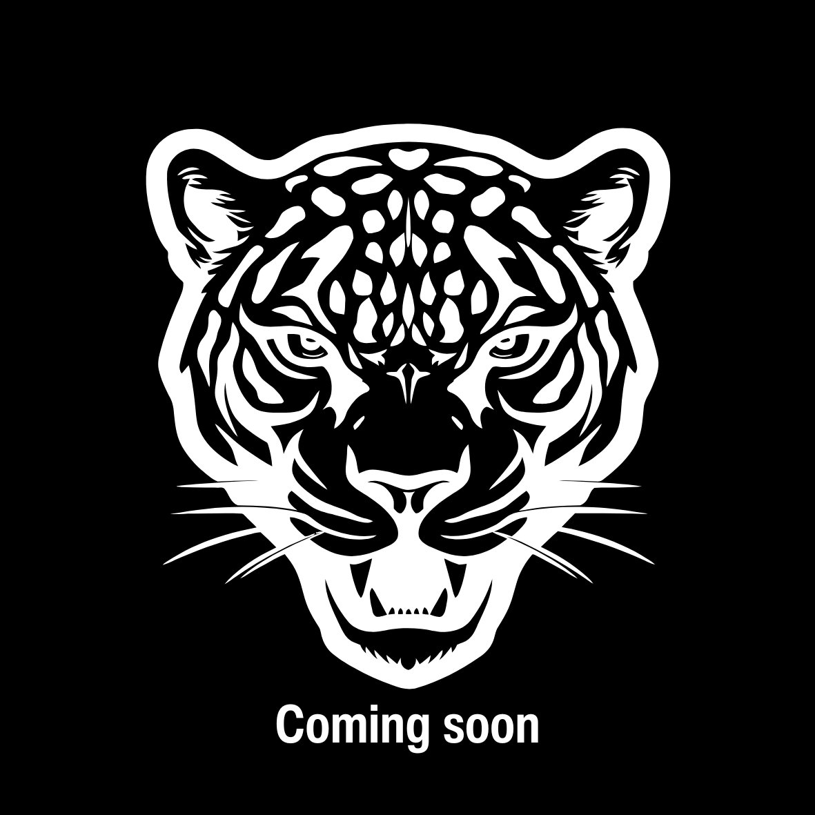 Brazil Pulp Natural Patrícia Carvalho (Pre-order)