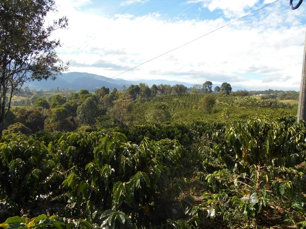 Colombia-Piendamo1-scaled-1-1024x768.jpg